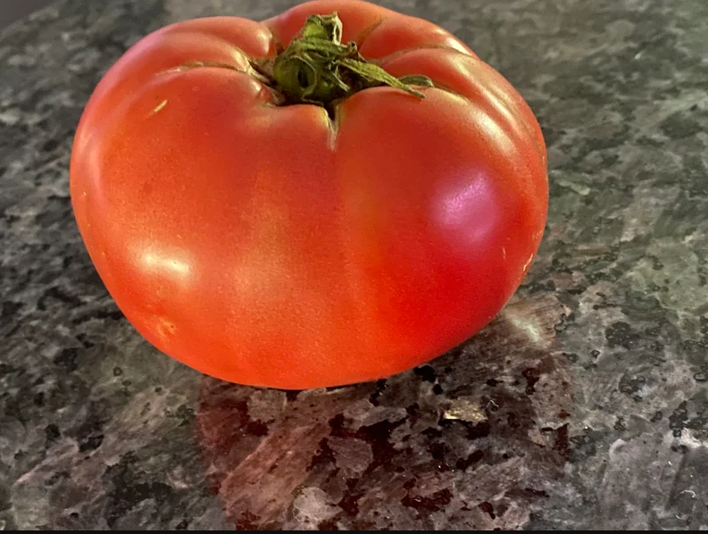 German Johnson Tomato Seeds - Pink/Red Beefsteak Heirloom +25 Seeds - Indeterminate 75 Days