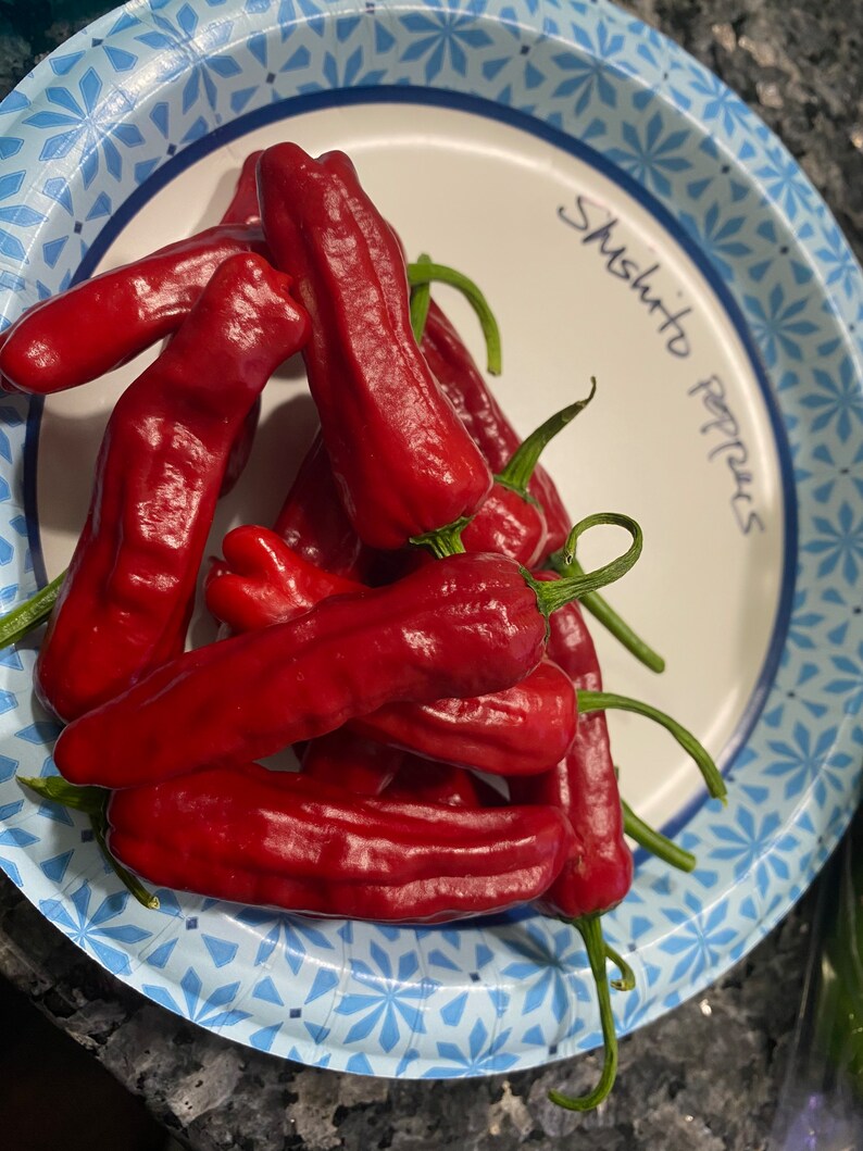 Shishito Pepper Seeds