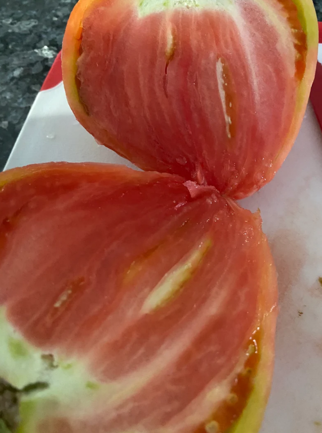 Heirloom Pink Oxheart Tomato Seeds