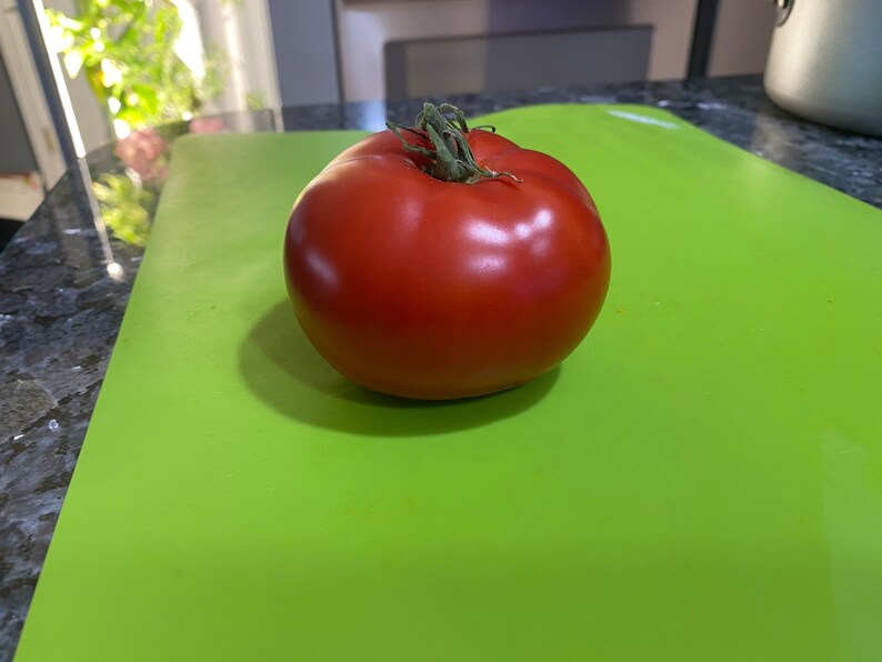 Giant Crimson Tomato